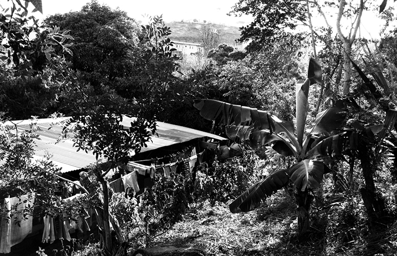 De la verdure sous la tôle - Sakamoto est un squat à flanc de colline, sur la route qui descend du rond-point de la vierge à Nouméa. C’est un terrain municipal où l’habitat spontané ne cesse de s’étendre depuis 1989. Aujourd’hui une soixantaine de familles vivent là, surtout des Kanak, des Vanuatais, et des Wallisiens. Ils sont regroupés en associations et ont obtenu des compteurs pour l’eau courante.