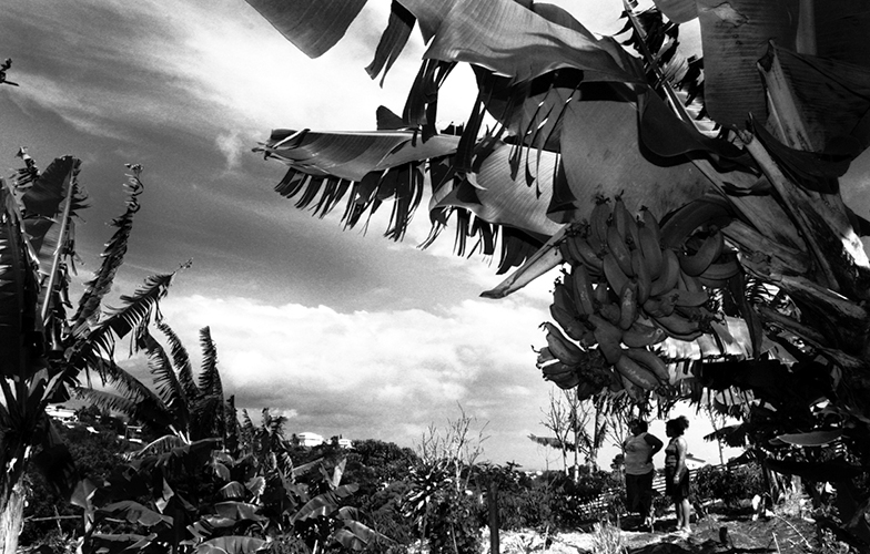 Tribus urbaines - Victoria et Marie, dans le champ de Marie, une quinquagénaire d’Ouvea qui vit à Sakamoto depuis plus de 20 ans. A la dernière reunion avec direction du logement, Victoria et d’autres présidents d’associations de squatteurs ont déposé une feuille de doléances. Le but : aménager ces zones d’habitat précaire. “De toute façon, ils nous ont dit qu’ils n’ont pas de place pour reloger tout le monde, dit Victoria, alors ils n’ont qu’à nous laisser des espaces pour faire des tribus à la ville”.