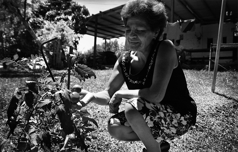 Cultiver - Eva Ofa s’est installée il y a une quinzaine d’années au squat de Kawatii. « J’habitais dans un petit appartement, mais je venais ici le week-end pour cultiver du manioc, des bananes et du taro, se souvient-elle. C’était juste pour se nourrir ». Deux ans plus tard, elle a fini par s’installer là. Aujourd’hui, manguiers, bananiers, citronniers, letchis, papayes et tomates peuplent son potager, et la cabane est devenue une maison.  
