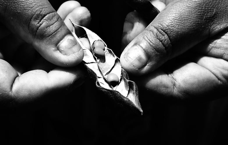 Baana - En langue Nengone, le 