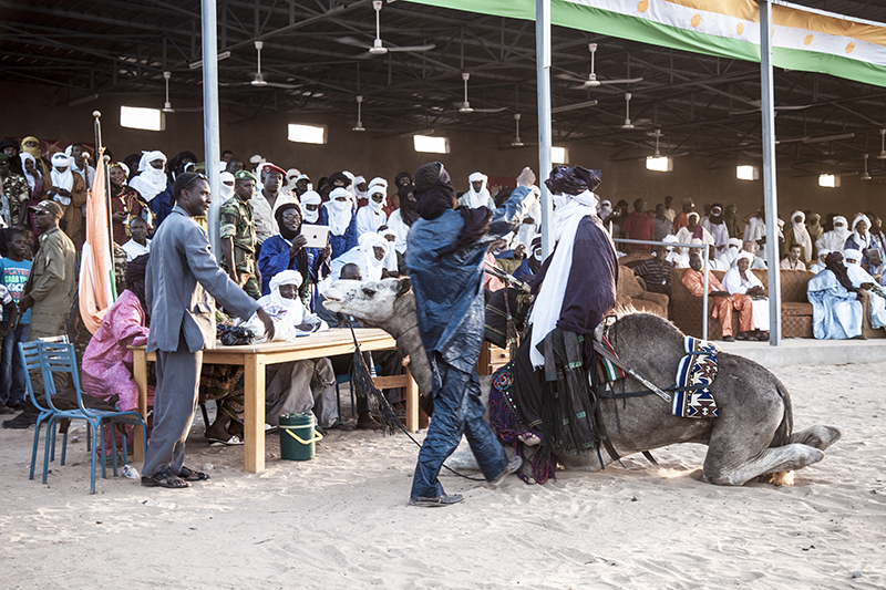 Le concours de dressage de chameaux a suscité l’engouement des spectateurs. 