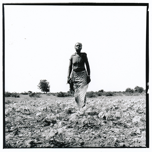 Alimata, 26 ans, fait pousser arachides, gombo et oignons, tout en tenant un commerce de charbon. Mariée depuis 7 ans à un 'Italien' elle n'a pas passé plus de 6 mois avec lui sous le même toit depuis leur mariage. Il revient tous les 2 ou 3 ans, selon ses moyens. Ce n'est pas la vie qu'elle aurait voulu, mais 